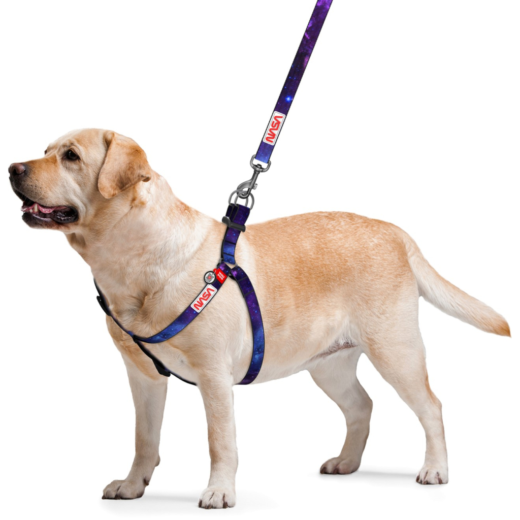 Шлея для собак WAUDOG Nylon з QR-паспортом "NASA21" M (4801-0148)