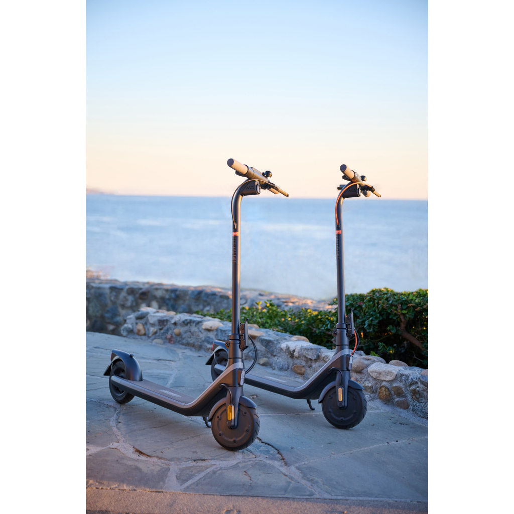 Електросамокат Segway Ninebot E2 E, чорний (AA.00.0013.13)