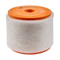 Champion CAF101081R car air filter