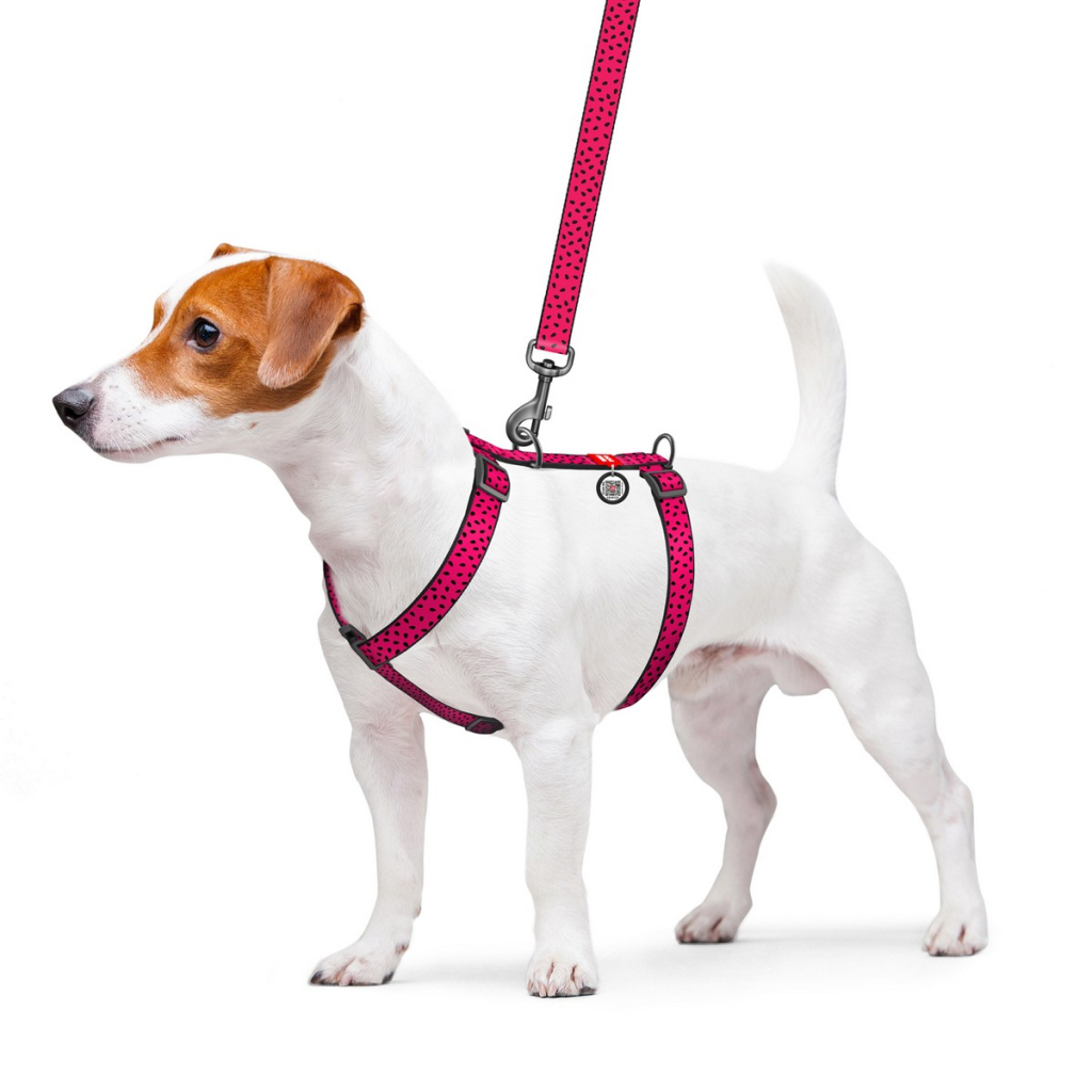 Шлея для собак WAUDOG Nylon з QR паспортом анатомічна H-подібна "Кавун" M (5561)