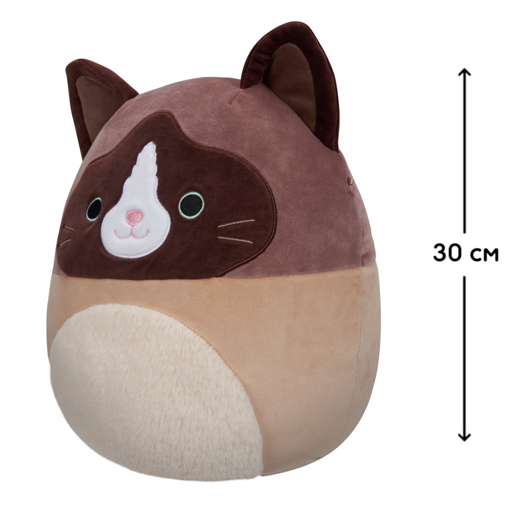 М'яка іграшка Squishmallows Кіт Вудворд 30 см (SQCR05423)