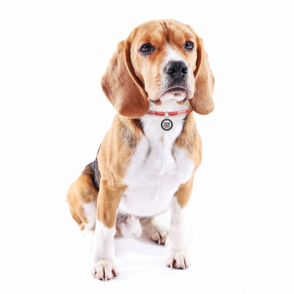 Шнурок для адресника WAUDOG Smart ID S 25-45 см червоний (60383)