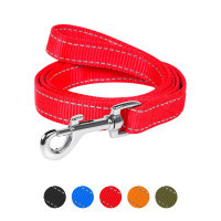 Dog Extreme nylon double leash W 25 mm L 122 cm red (42993)
