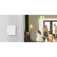 Розумний вимикач TP-Link Tapo S210 868 MHz 250V 4A (TAPO-S210)