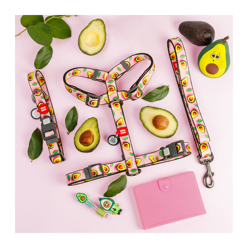 Нашийник для тварин WAUDOG Nylon з QR адресником "Авокадо на рожевому" пластиковий фастекс L (282-4051)