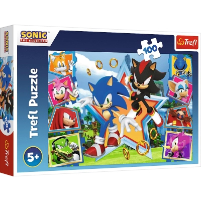 Пазл Trefl Sonic Зустрічайте Соніка 100 елементів (5900511164657)