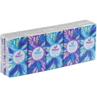 Cosmetic napkins Parus 2 layers 10 pcs. x 10 packs (4820044170110)