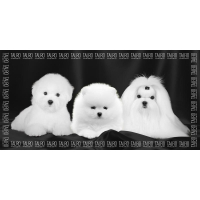 Tauro Pro Line Microfiber Pet Towel Highly Absorbent with Pomeranian, Maltese and Bichon Frize 80 (TPLRAN70317)