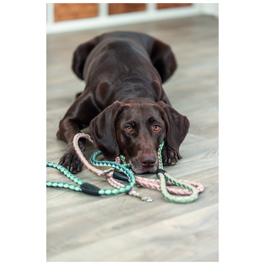 Повідець для собак Trixie Cavo S–M 1 м діаметр 12 мм рожево-пісочний (4053032677715)