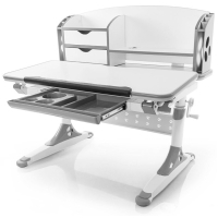 Desk Evo-kids Aivengo M Gray (Evo-700 WG)