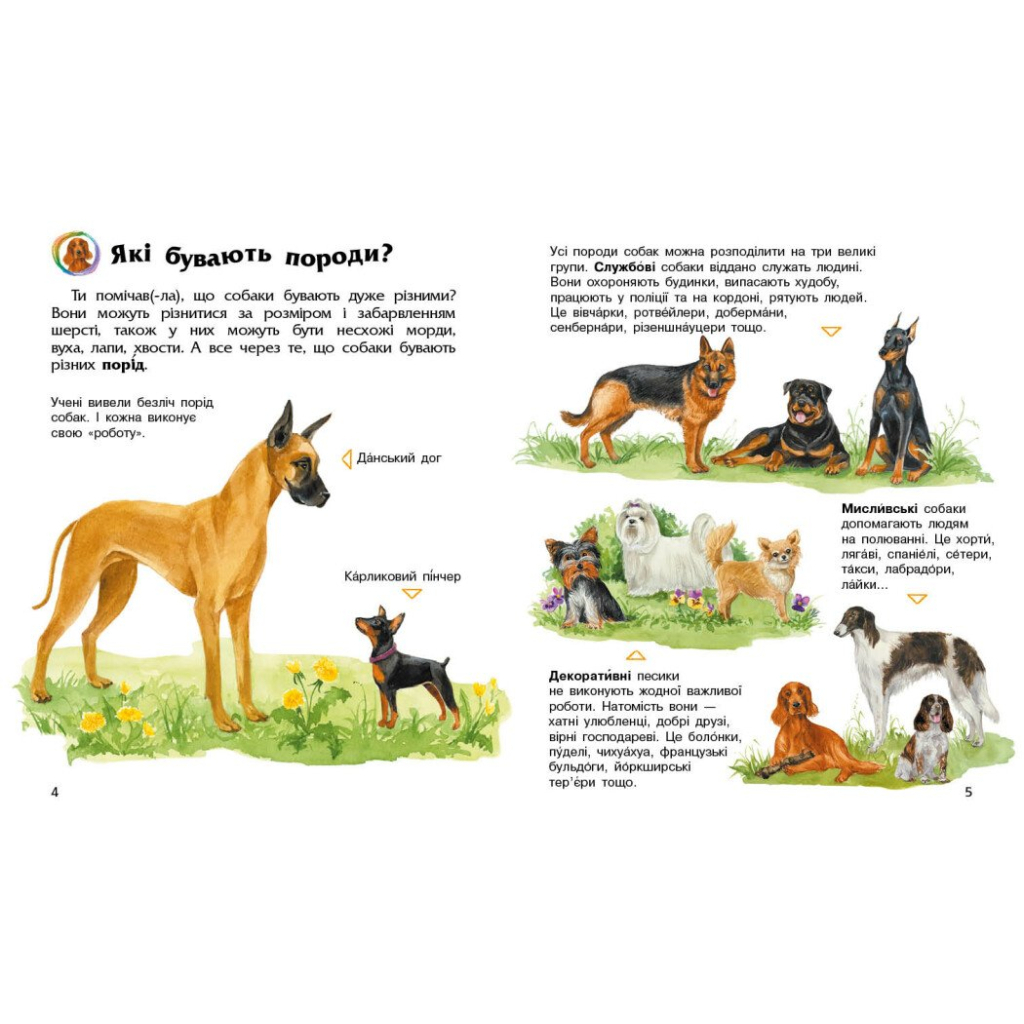 Книга Собаки. Енциклопедія дошкільника - Юлія Каспарова Ранок (9786170976819)