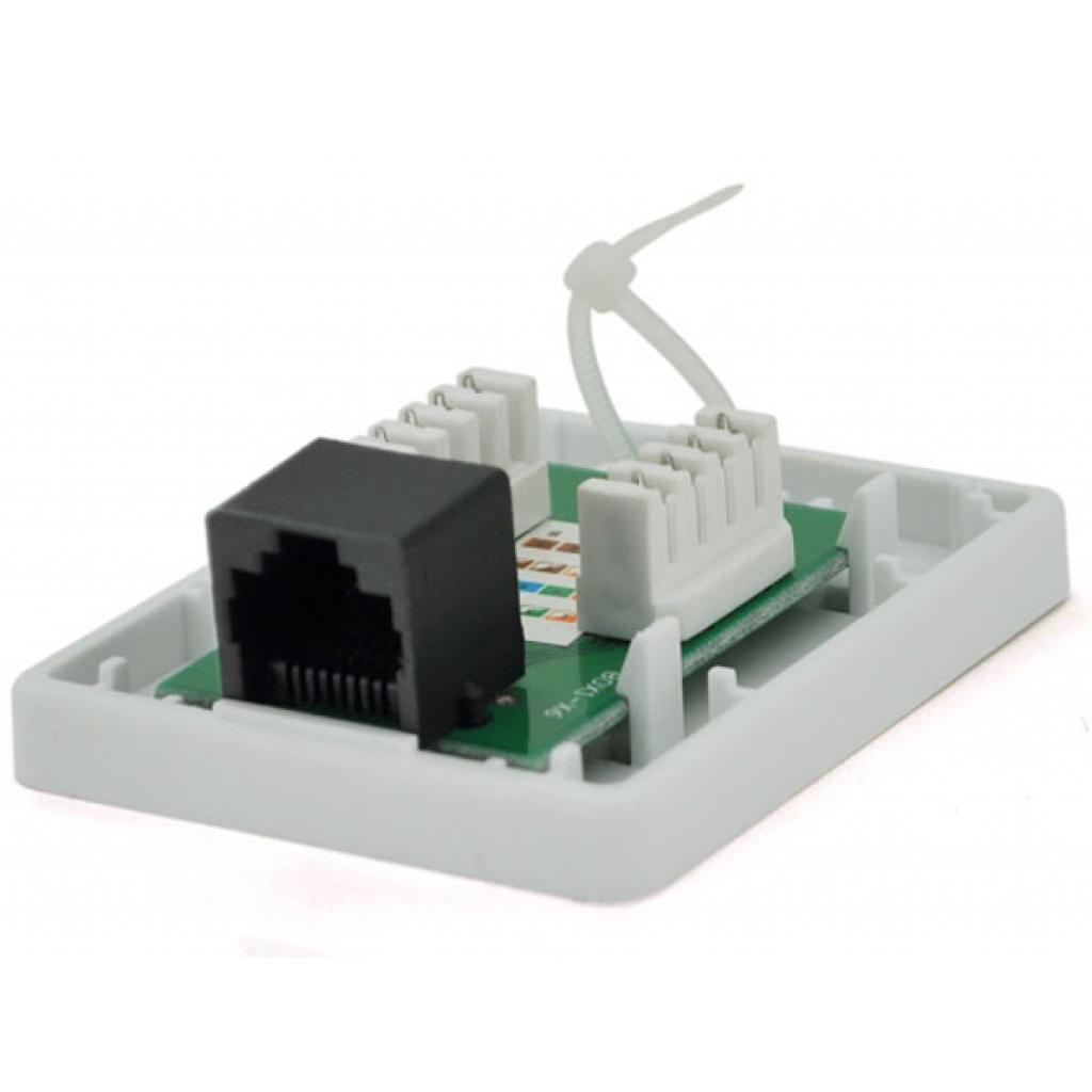 Комп'ютерна розетка RJ45x1 UTP, 8P8C, cat.5e Ritar (00197) Комп'ютерна розетка RJ45x1 UTP, 8P8C, cat.5e Ritar (00197)