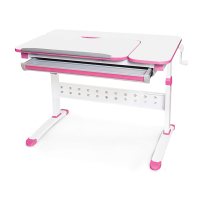 Desk Evo-kids Martin Pink (Evo-430 WP)