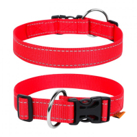 Collar for animals Collar Dog Extreme 20 mm 25-40 cm (red) (01623)