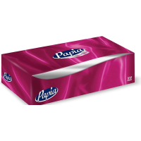 Cosmetic napkins Papia 2 layers 100 pcs. (8690536020447)