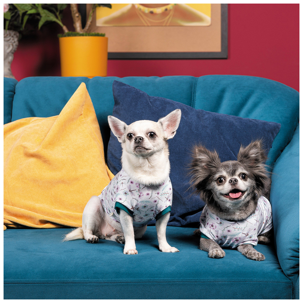 Футболка для тварин Pet Fashion Flora S біла з квітковим принтом (4823082441525)