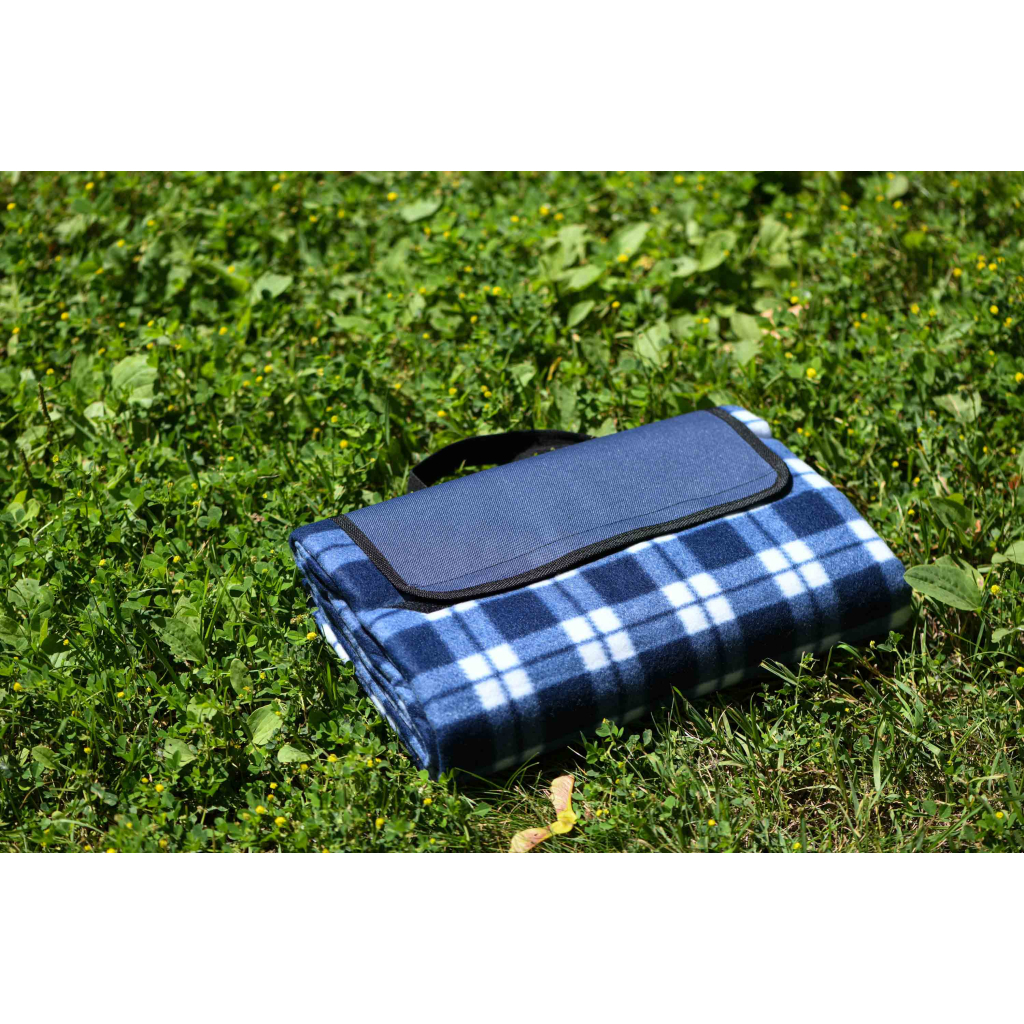 Плед Ardesto Picnic 130х170см, 100% поліестер, клітинка синій (ART0916BC) Плед Ardesto Picnic 130х170см, 100% поліестер, клітинка синій (ART0916BC)