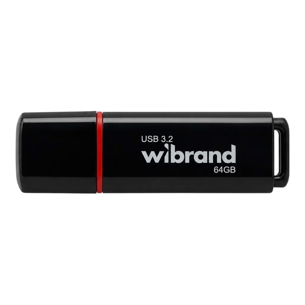 USB флеш накопичувач Wibrand 64GB Scarab Black USB 3.2 (WI3.2/SC64P11B)