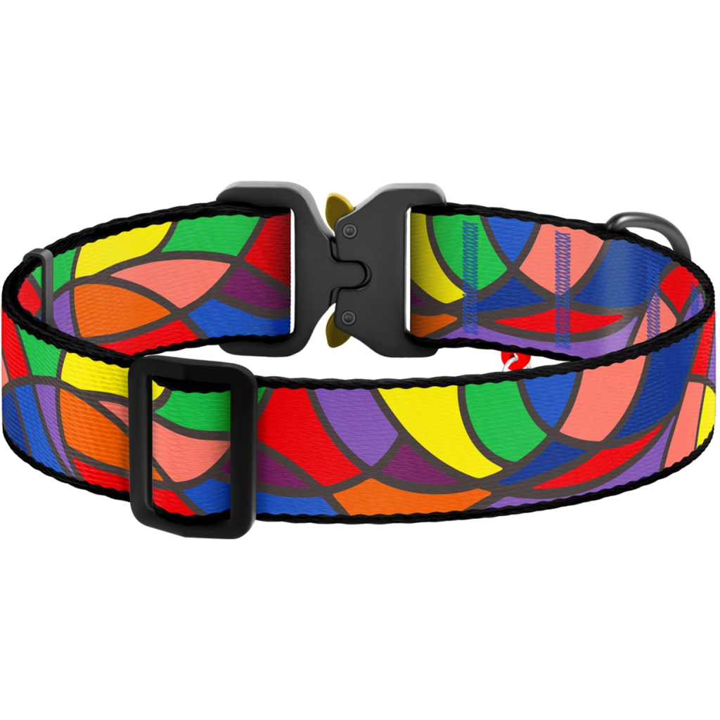 Нашийник для тварин WAUDOG Nylon з QR паспортом "Вітраж" металева пряжка-фастекс XXL (4535-0051)