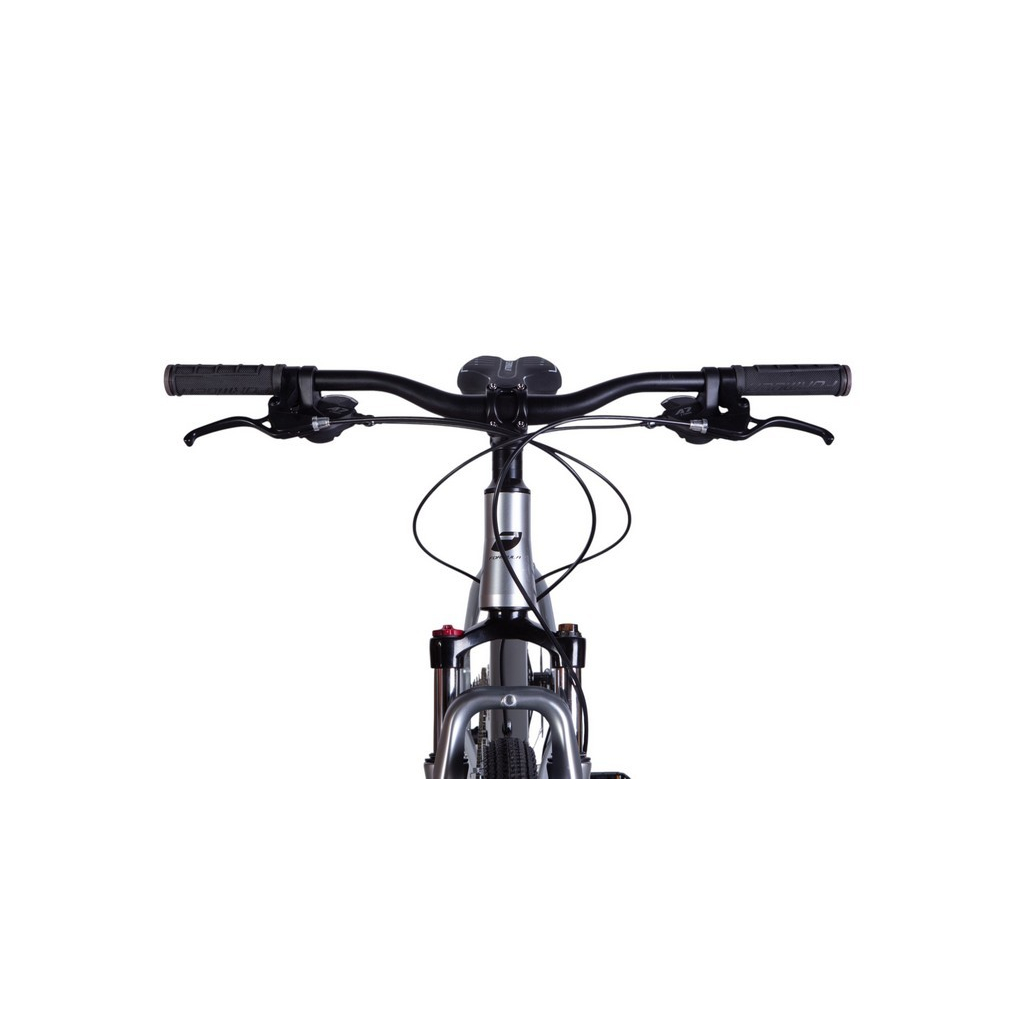 Велосипед Formula 29" ZEPHYR 2.0 DD рама-19" AL 2025 срiблястий (OPS-FR-29-365)