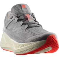 Кросівки Salomon Aero Glide 3 Alloy/Vanilla Ice/Neon Flame 10 (L47810600-10)
