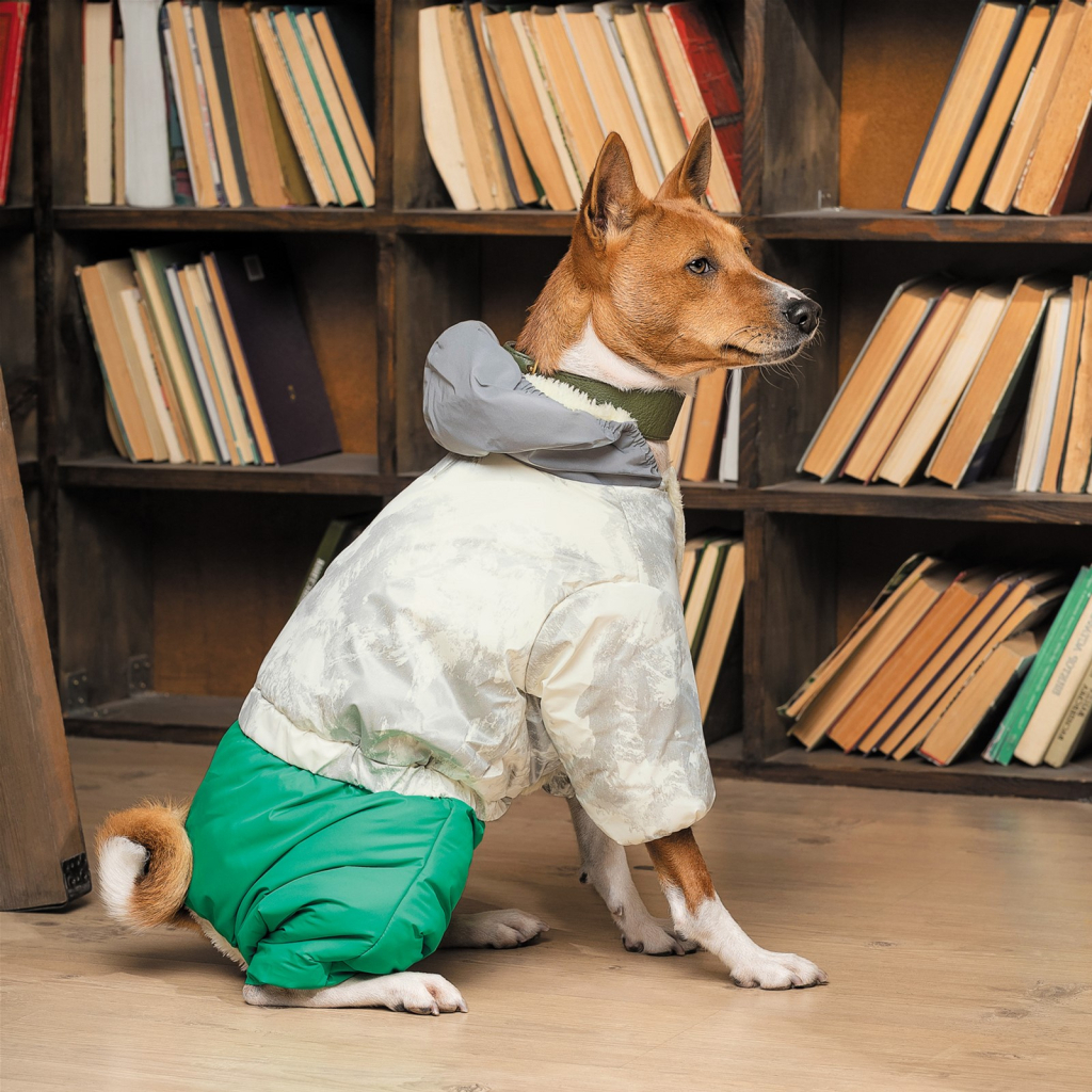 Костюм для тварин Pet Fashion Pf Style S (4823082427956)