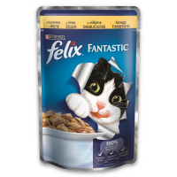 Wet food for cats Purina Felix Fantastic in jelly with chicken 100 g (7613034442031)