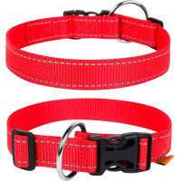 Collar for animals Collar Dog Extreme 25 mm 31-49 cm (red) (02523)