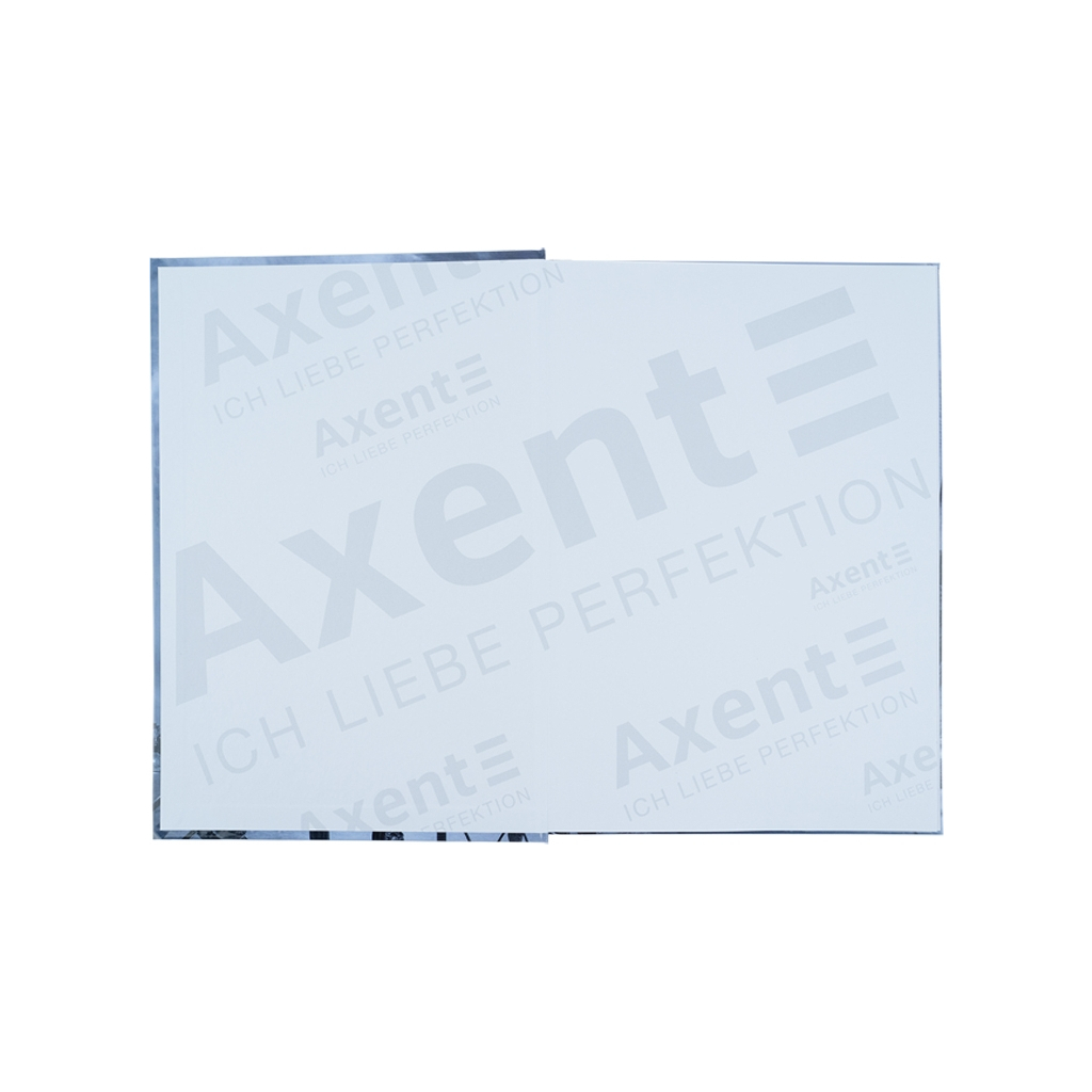 Канцелярська книга Axent Glory А4 у твердій обкладинці 96 аркуші клітинка (8422-566-A) Канцелярська книга Axent Glory А4 у твердій обкладинці 96 аркуші клітинка (8422-566-A)