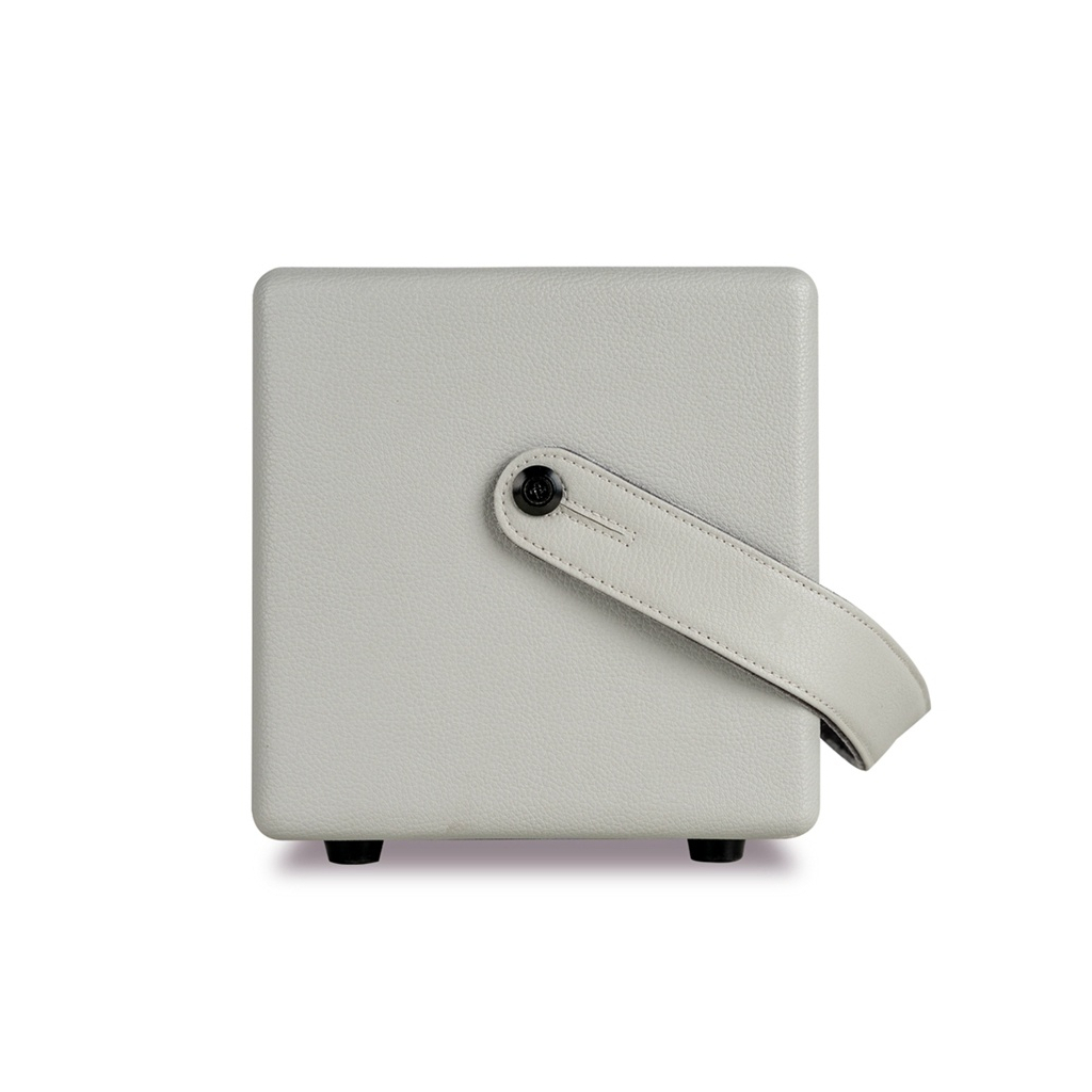 Комбопідсилювач Mooer SD30i